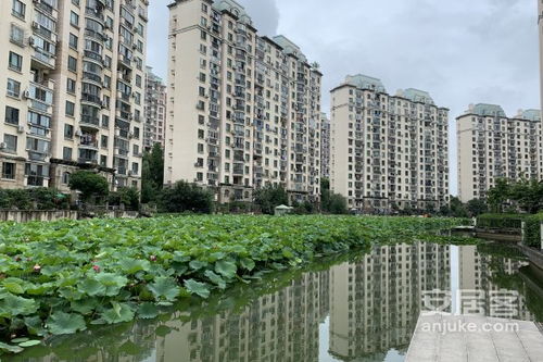上海康城优点 不足,上海康城怎么样,上海康城周边房产中介经纪人评价 上海安居客