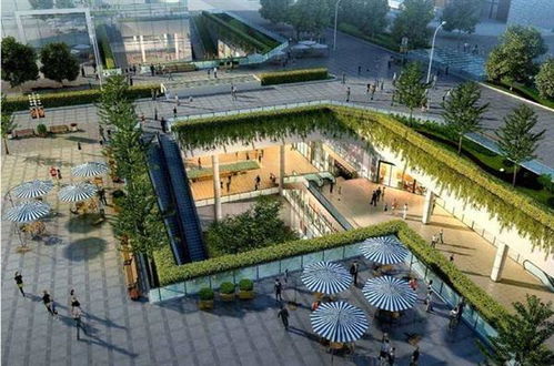 向地下要空间∣一种三维空间的建校模式