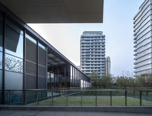 宋清辉 品牌声誉是公司发展基石 被消费者质疑将伤害产品竞争力