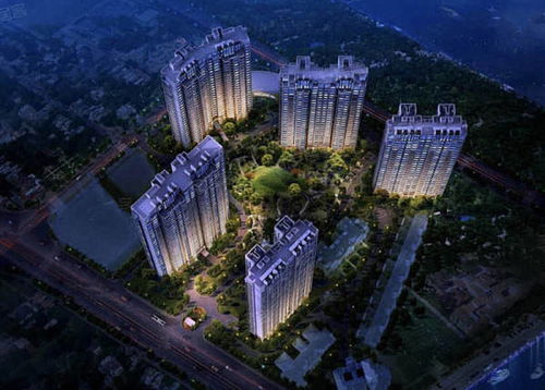 上海杨浦 怎么样 内部员工劲爆揭秘,为什么卖这么火爆