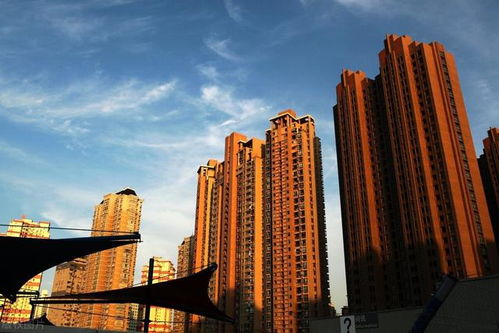 金九 过半,上海楼市量价齐跌,想割韭菜早已没那么容易