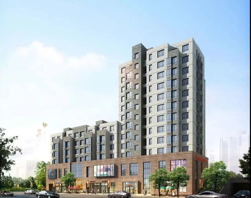 上海新世纪大厦发展100 股权