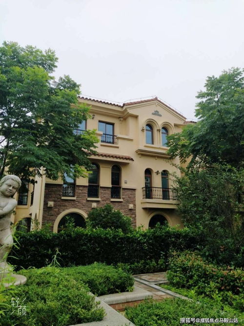 青浦 火到什么程度 开发商直销 售楼中心