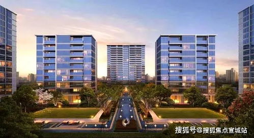 揭秘 上海 真实报道 火遍整个上海