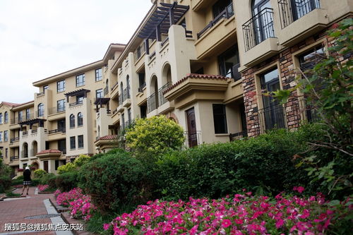 最新动态 楼盘信息 房价 户型 周边配套,交通地图及动态