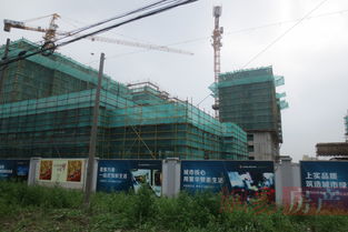 上实海上荟 上海上实海上荟配套实景图,样板间,效果图,户型图 上海网易房产