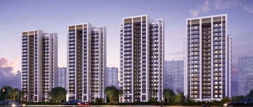 每日昱言 上海房管局 落实 稳 和 保 ,保持房地产市场平稳健康