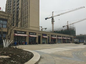 华纺和成未来派 上海华纺和成未来派配套实景图,样板间,效果图,户型图 上海网易房产