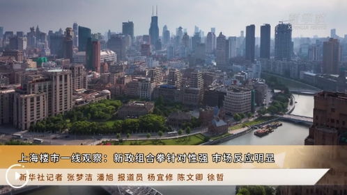 上海楼市一线观察 新政组合拳针对性强 市场反应明显