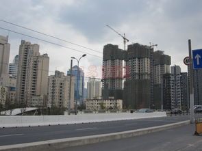 长宁88金廷 上海长宁88金廷配套实景图,样板间,效果图,户型图 上海网易房产