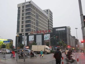 上海金鼎香樟苑：配套实景、样板间与户型全解析