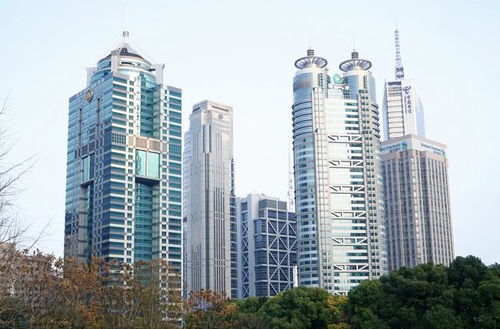 上海万人抢房变闹剧 超4亿元房产无法过户！购房者需谨记四件事