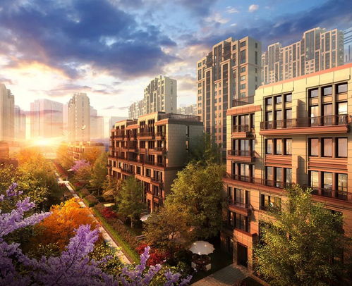 居住自由 一个上海家庭的梦想与现实