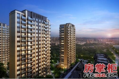 南桥新城强势崛起，三大匠心开发商联袂筑梦南上海