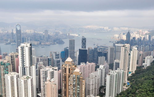 上海房地产经纪视角 中国房价上涨逻辑与城市发展缩影